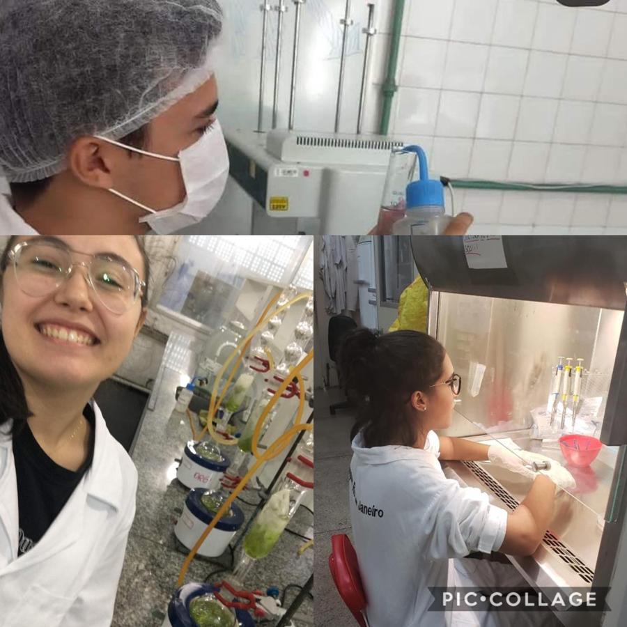Foto do projeto
