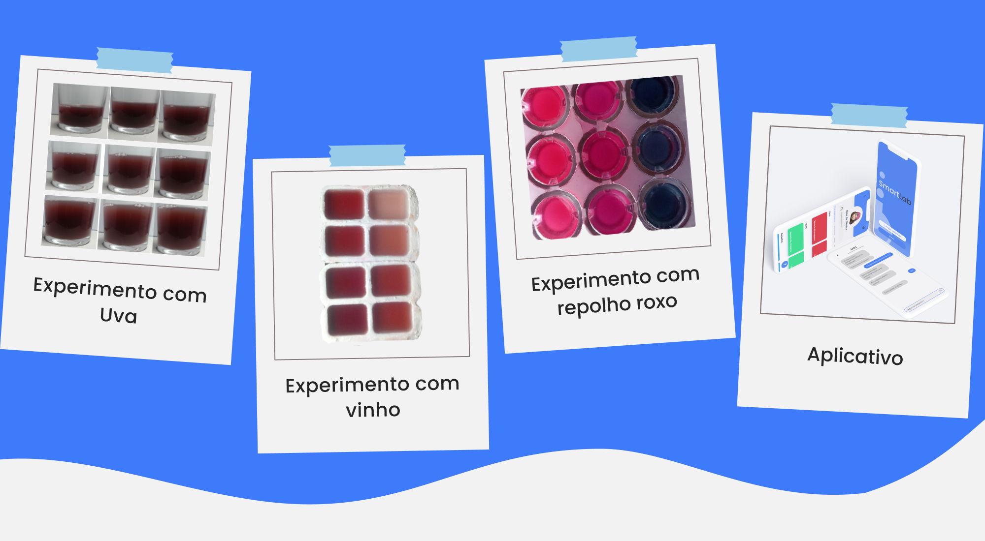 Foto do projeto