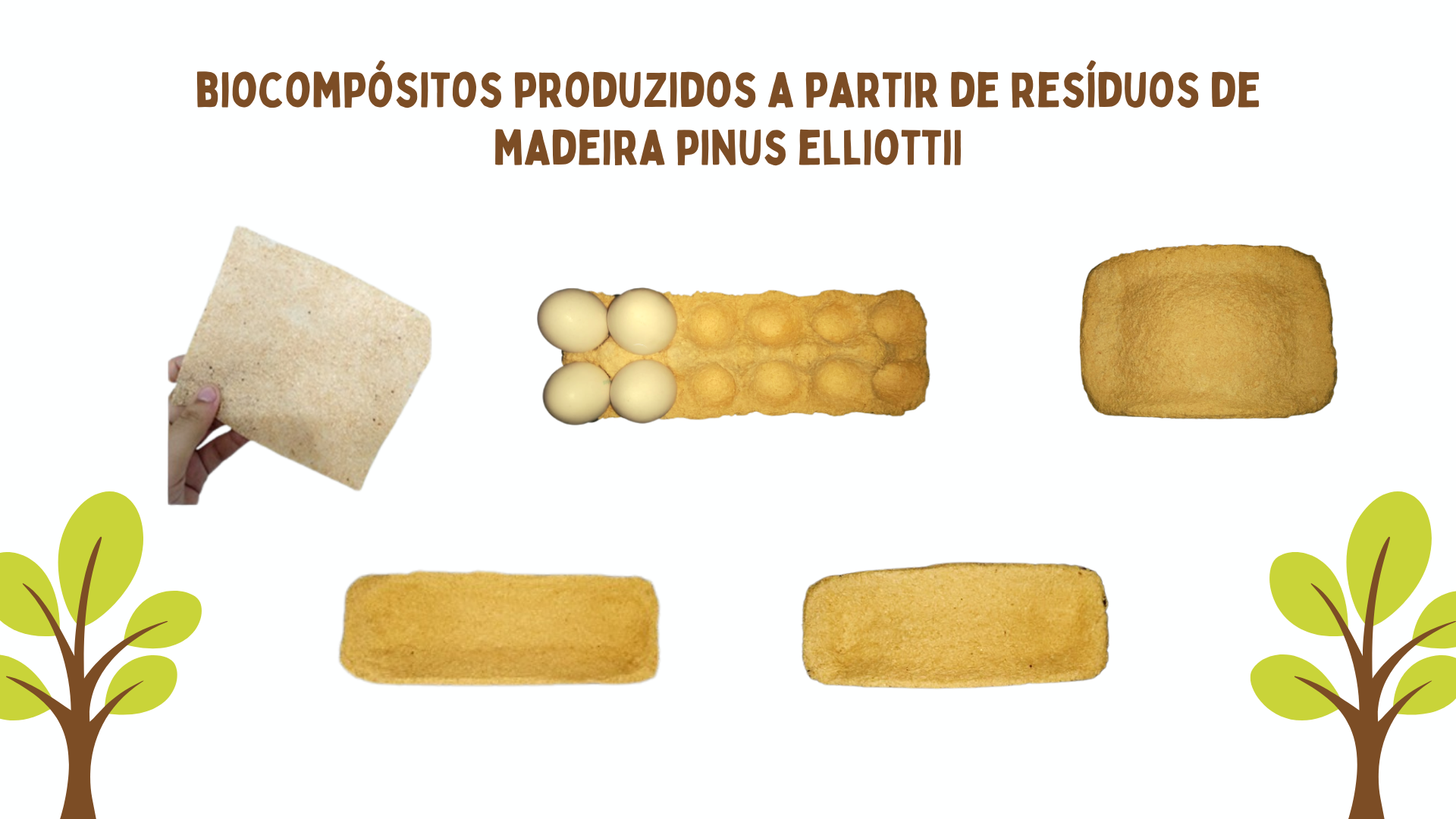 Foto do projeto